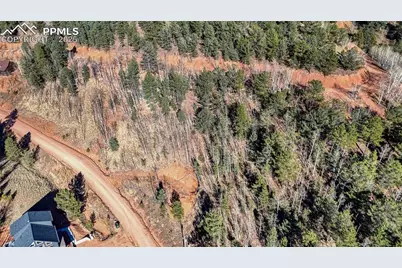 80 Beaver Pond Road, Divide, CO 80814 - Photo 11