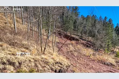 80 Beaver Pond Road, Divide, CO 80814 - Photo 17