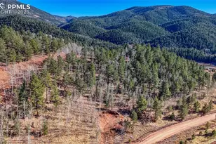 80 Beaver Pond Rd, Divide, CO 80814 - Photo 1