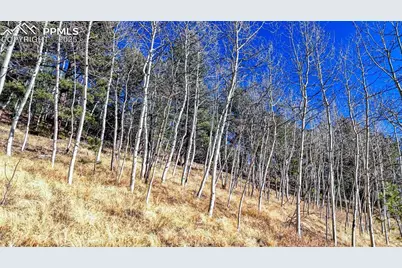 80 Beaver Pond Road, Divide, CO 80814 - Photo 19