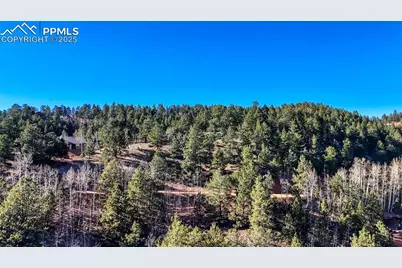 80 Beaver Pond Road, Divide, CO 80814 - Photo 27