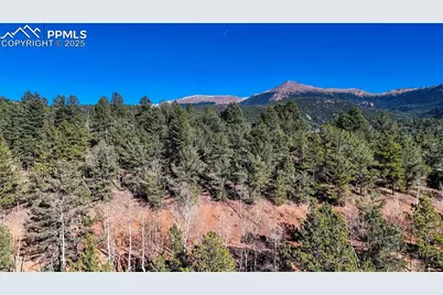 80 Beaver Pond Road, Divide, CO 80814 - Photo 5