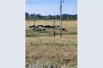 3243 County Road 86, Victor, CO 80860 - Photo 7