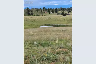 3243 County Road 86, Victor, CO 80860 - Photo 3