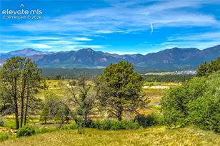 1011 Charismatic Wy, Colorado Springs, CO 80921 - Photo 39