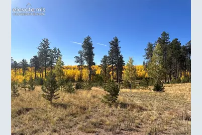 Unit 4 County Road 51, Florissant, CO 80816 - Photo 29