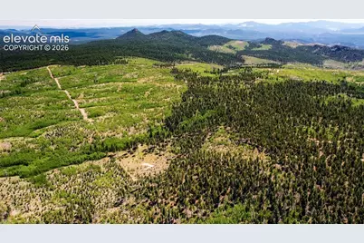 Unit 4 County Road 51, Florissant, CO 80816 - Photo 37