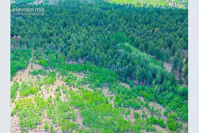 Unit 4 County Road 51, Florissant, CO 80816 - Photo 13