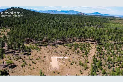 Unit 4 County Road 51, Florissant, CO 80816 - Photo 3