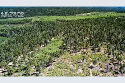 Unit 4 County Road 51, Florissant, CO 80816 - Photo 39
