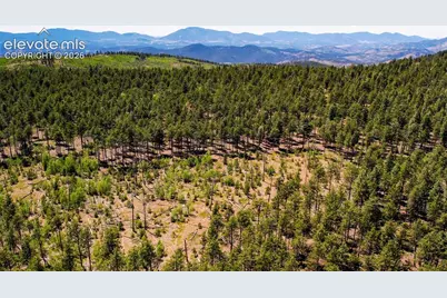 Unit 4 County Road 51, Florissant, CO 80816 - Photo 43