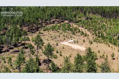 Unit 4 County Road 51, Florissant, CO 80816 - Photo 5