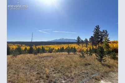 Unit 4 County Road 51, Florissant, CO 80816 - Photo 27