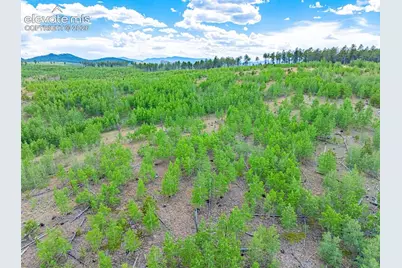 Unit 4 County Road 51, Florissant, CO 80816 - Photo 7