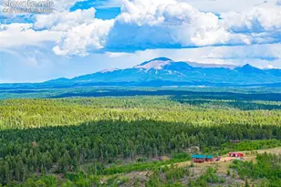Unit 4 County Road 51, Florissant, CO 80816 - Photo 1