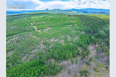 Unit 4 County Road 51, Florissant, CO 80816 - Photo 17