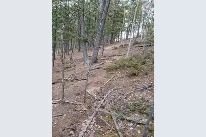 495 Wakanda Trail, Woodland Park, CO 80863 - Photo 3