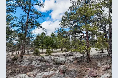 54 Ute Circle, Florissant, CO 80816 - Photo 17