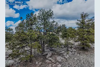 54 Ute Circle, Florissant, CO 80816 - Photo 15