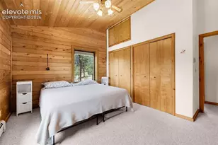 187 Thunder Ridge Rd, Florissant, CO 80816 - Photo 21