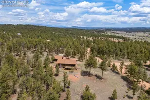 187 Thunder Ridge Rd, Florissant, CO 80816 - Photo 45