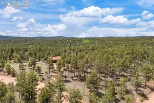 187 Thunder Ridge Rd, Florissant, CO 80816 - Photo 41