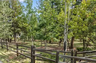 206 Pinto Dr, Woodland Park, CO 80863 - Photo 45