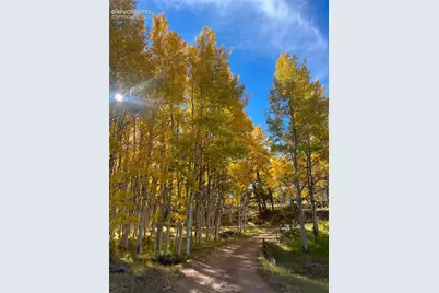 82 S Mountain Estates Road, Florissant, CO 80816 - Photo 33