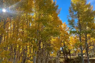 82 S Mountain Estates Rd, Florissant, CO 80816 - Photo 33