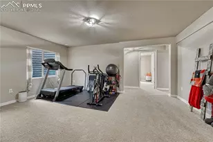 16017 Denver Pacific Dr, Monument, CO 80132 - Photo 39