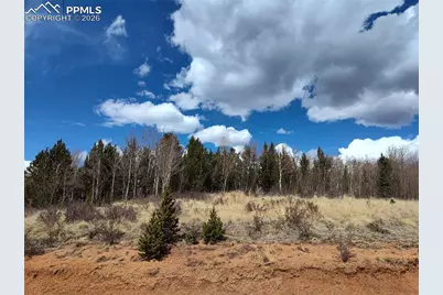 12201 S Highway 67, Divide, CO 80814 - Photo 9