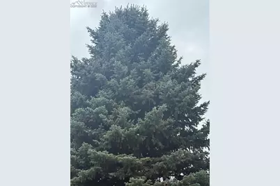 23 N 15th Street, Colorado Springs, CO 80926 - Photo 3