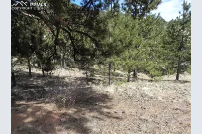 1087 Monarch Drive, Cripple Creek, CO 80813 - Photo 3