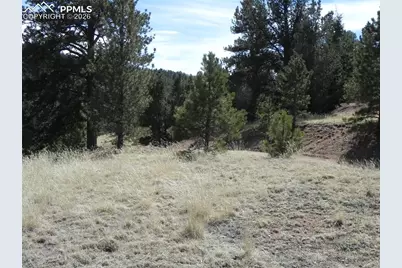 1087 Monarch Drive, Cripple Creek, CO 80813 - Photo 5