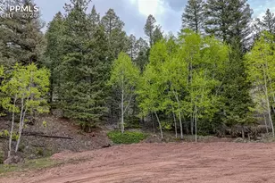 918 Pinon Ln, Florissant, CO 80816 - Photo 1