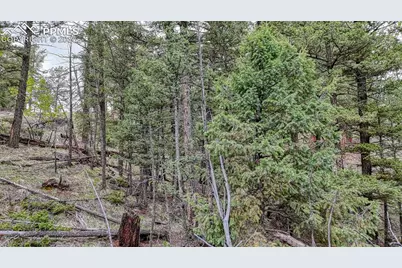 918 Pinon Lane, Florissant, CO 80816 - Photo 9