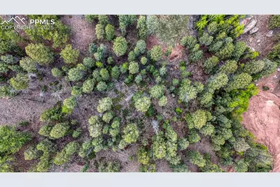918 Pinon Lane, Florissant, CO 80816 - Photo 17
