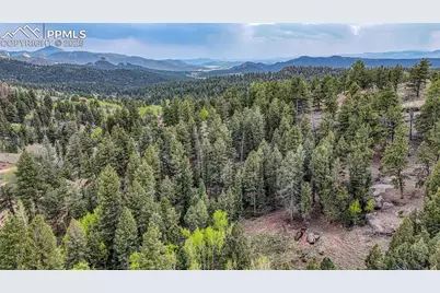 918 Pinon Lane, Florissant, CO 80816 - Photo 21