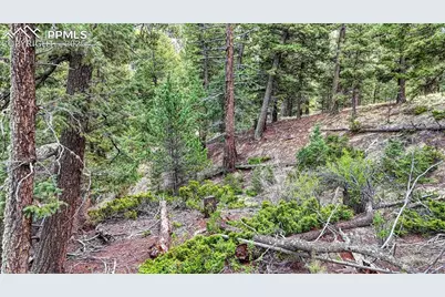 918 Pinon Lane, Florissant, CO 80816 - Photo 13