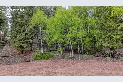 918 Pinon Lane, Florissant, CO 80816 - Photo 3