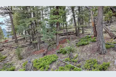 918 Pinon Lane, Florissant, CO 80816 - Photo 11