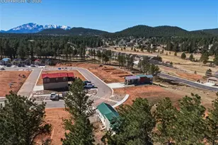 1311 Calm Mountain Pt, Woodland Park, CO 80863 - Photo 3