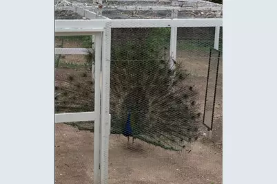 900 Pond Terrace, Fountain, CO 80817 - Photo 13