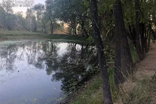 900 Pond Terrace, Fountain, CO 80817 - Photo 19