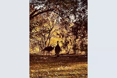 900 Pond Terrace, Fountain, CO 80817 - Photo 17