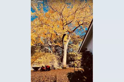 900 Pond Terrace, Fountain, CO 80817 - Photo 49