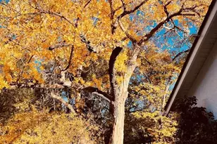 900 Pond Terrace, Fountain, CO 80817 - Photo 49