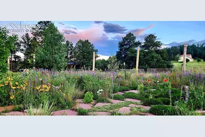 16435 Fairchild Avenue, Monument, CO 80132 - Photo 35