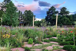 16435 Fairchild Ave, Monument, CO 80132 - Photo 35