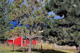 16435 Fairchild Ave, Monument, CO 80132 - Photo 27